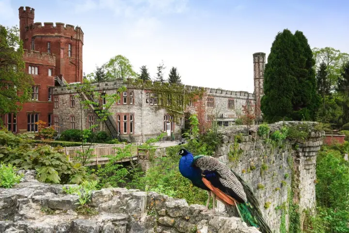 Ruthin Castle Hotel & Spa Image 11