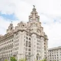 Royal Liver Suite